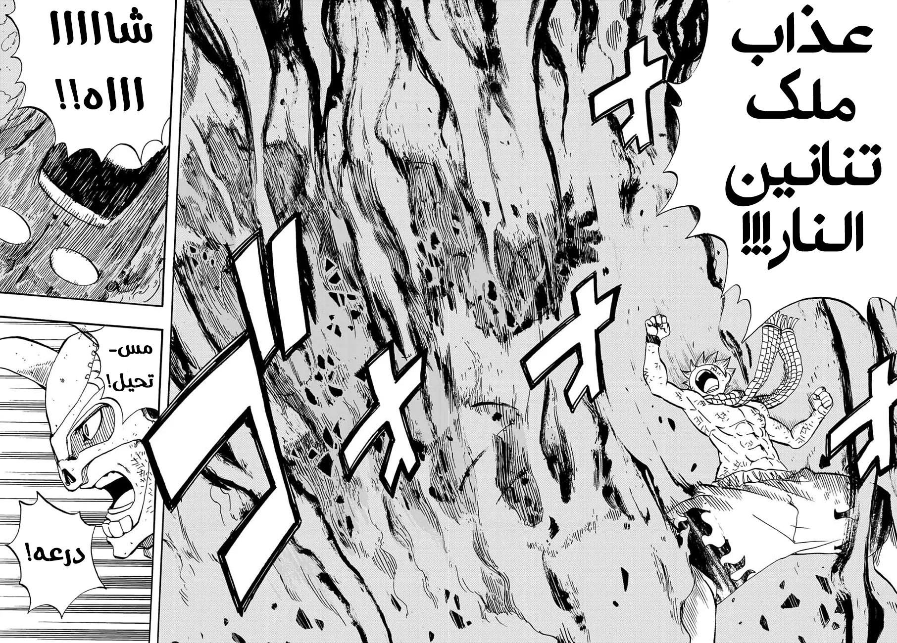 Read Fairy Tail: 100 Years Quest AR Manga Online