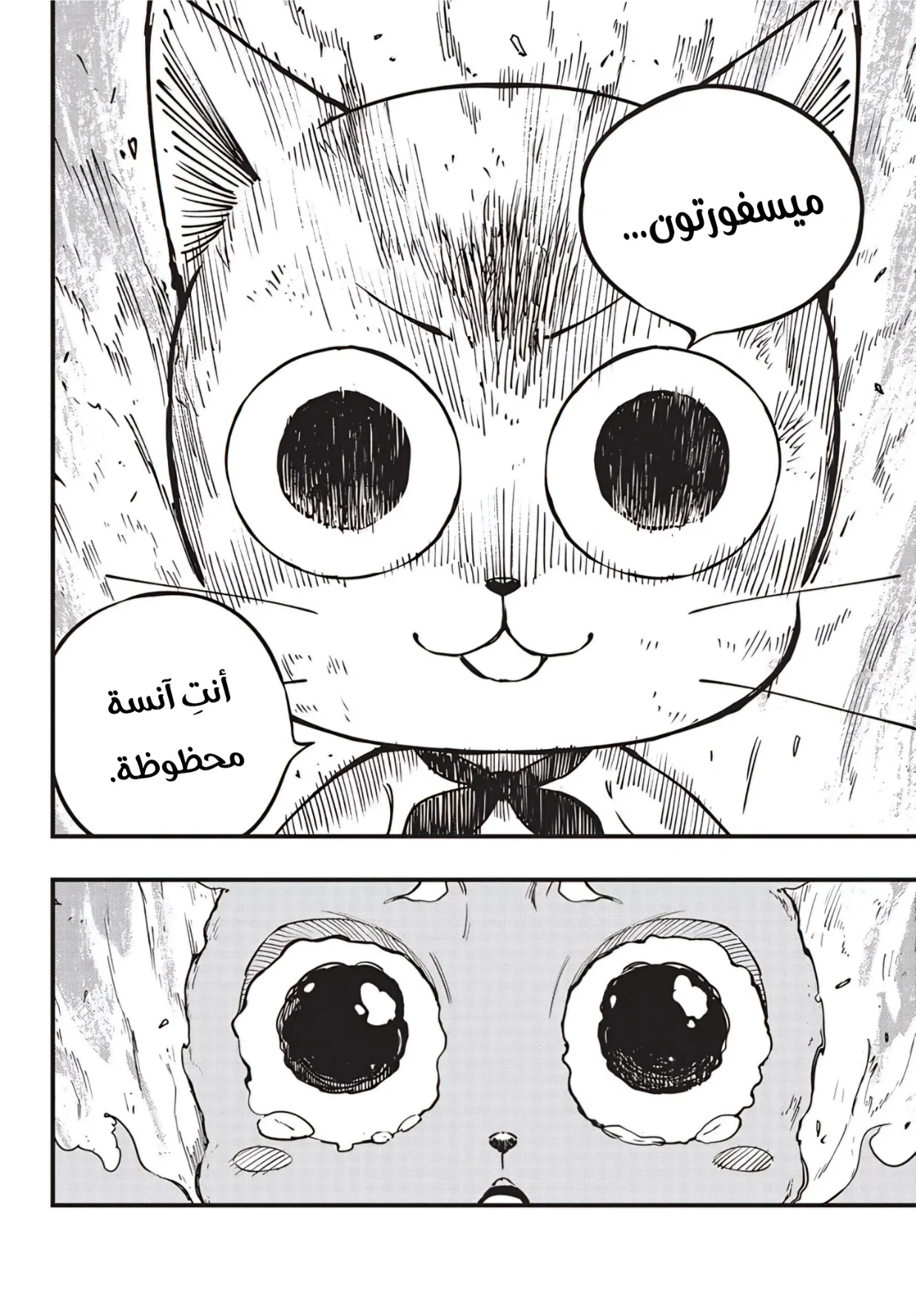 Read Fairy Tail: 100 Years Quest AR Manga Online