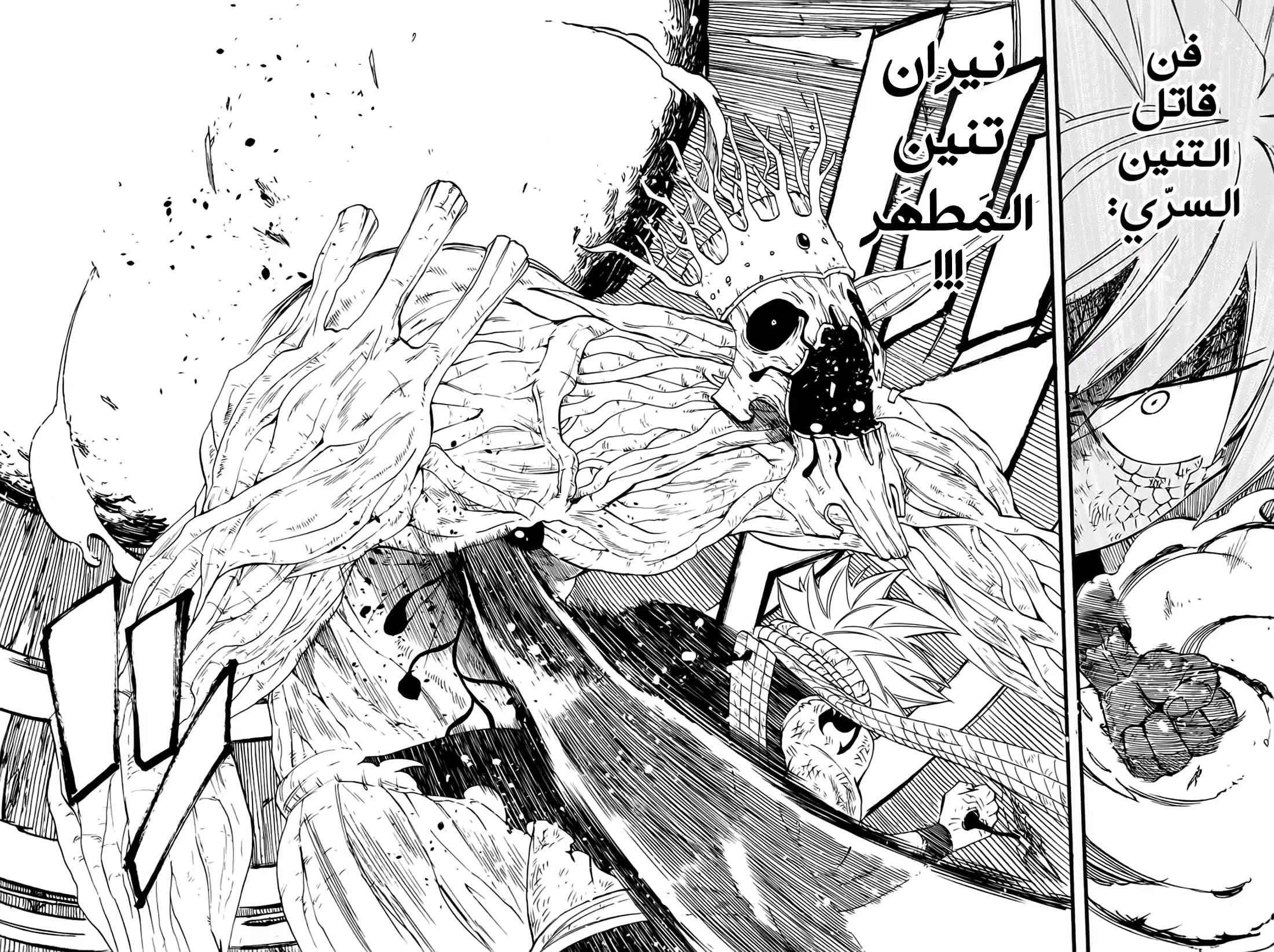 Read Fairy Tail: 100 Years Quest AR Manga Online