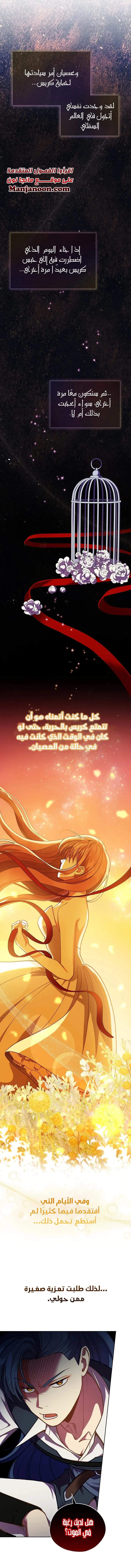 Read Finding Twilight AR Manga Online