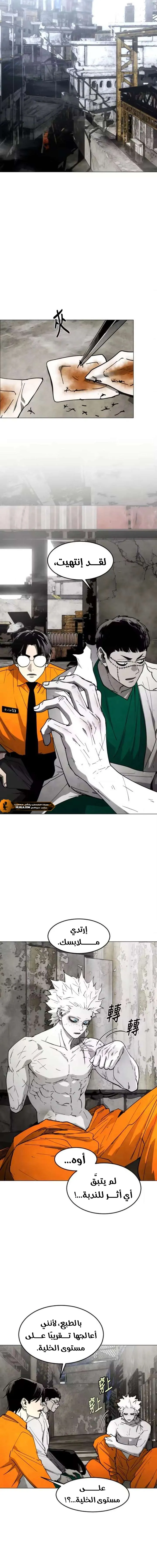 Read Fog Land AR Manga Online