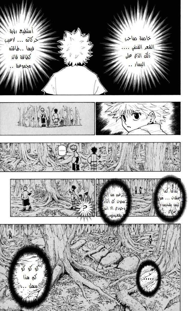 Read Hunter x Hunter AR Manga Online