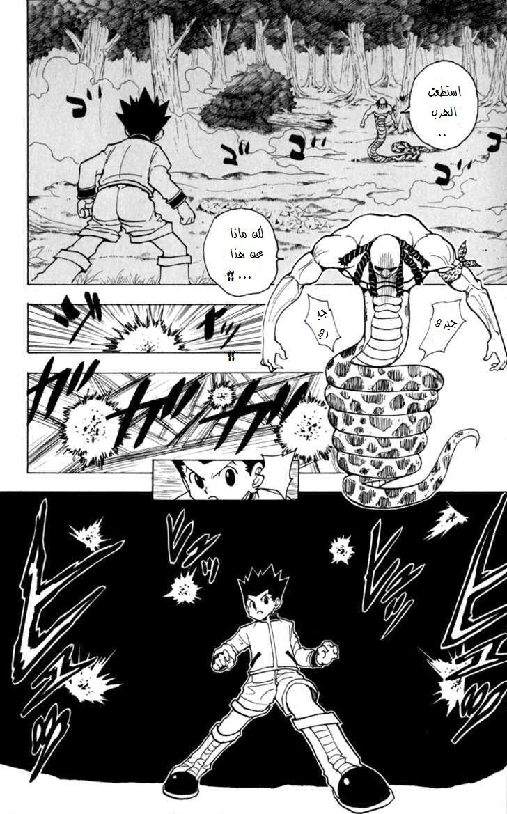Read Hunter x Hunter AR Manga Online