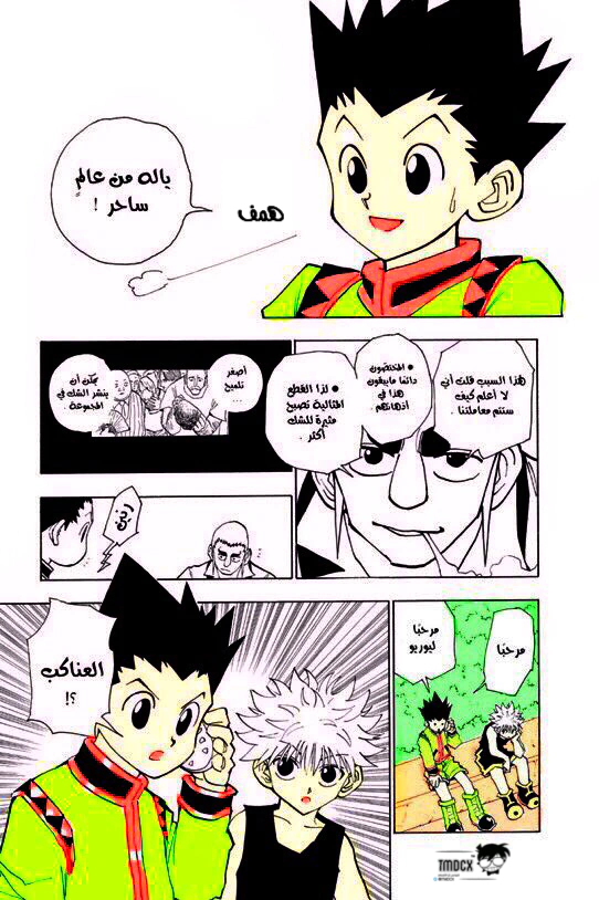 Read Hunter x Hunter AR Manga Online