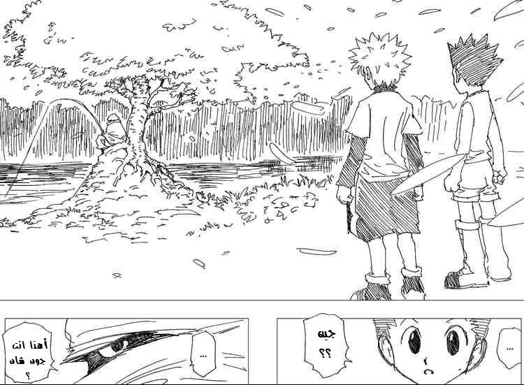 Read Hunter x Hunter AR Manga Online