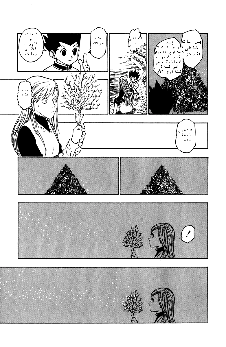 Read Hunter x Hunter AR Manga Online