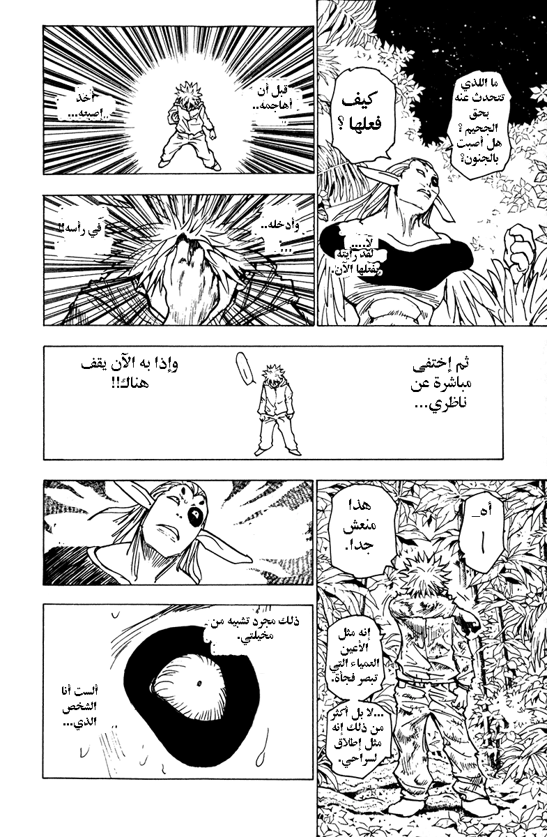 Read Hunter x Hunter AR Manga Online