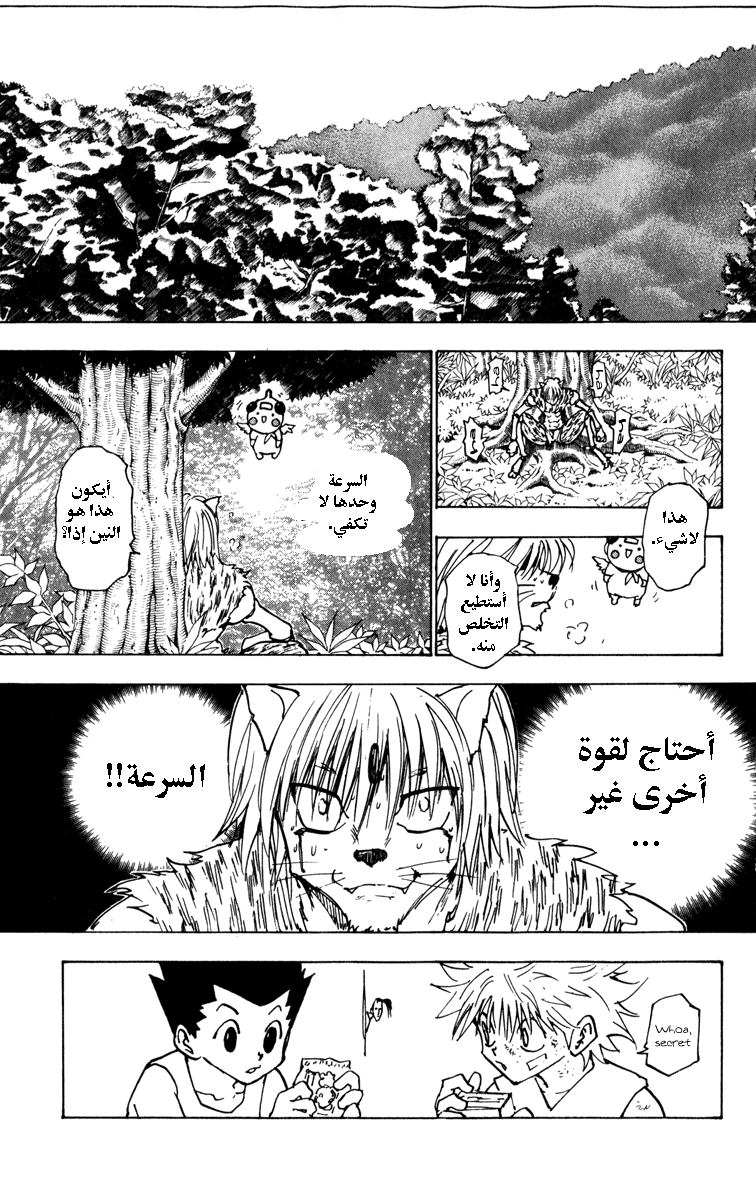 Read Hunter x Hunter AR Manga Online
