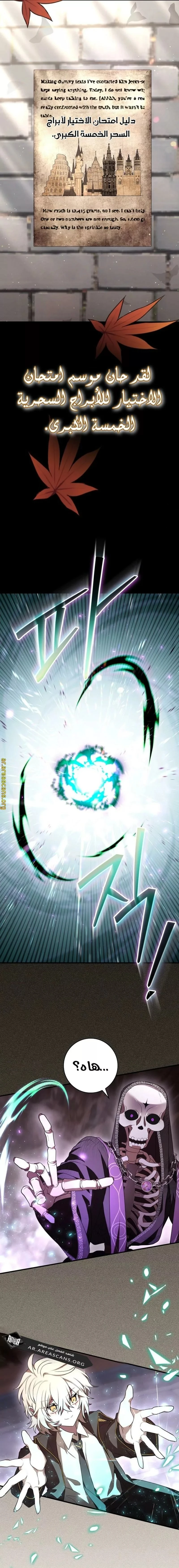 Read I Become a Legendary Arch Mage by Reading a Book AR Manga Online