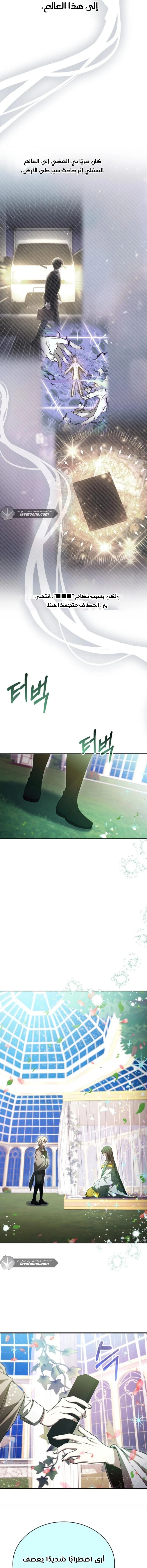 Read I Become a Legendary Arch Mage by Reading a Book AR Manga Online