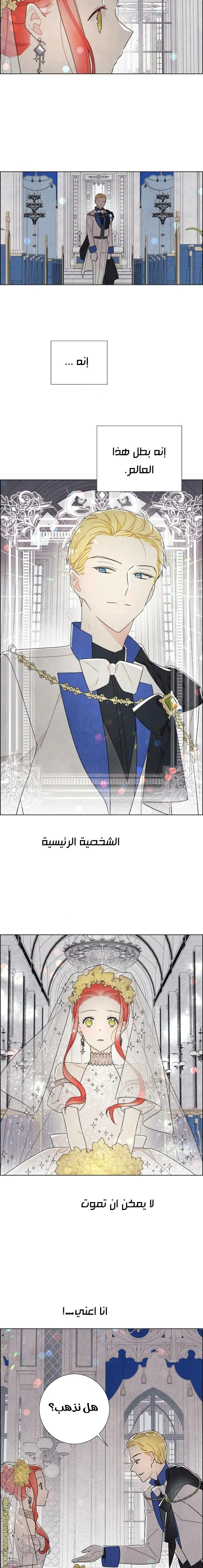 Read I stole the male lead’s first night AR Manga Online