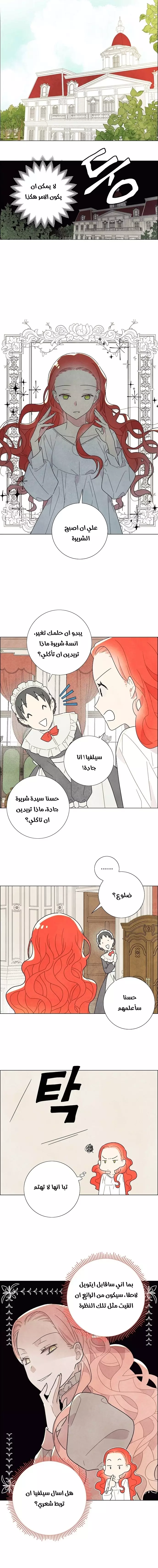 Read I stole the male lead’s first night AR Manga Online