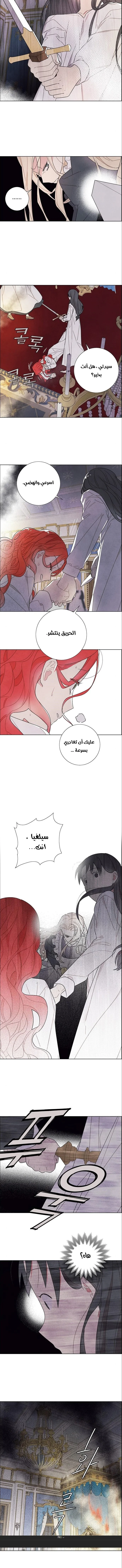 Read I stole the male lead’s first night AR Manga Online