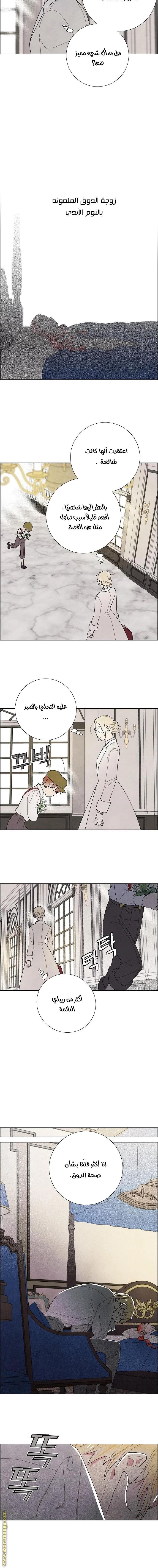 Read I stole the male lead’s first night AR Manga Online