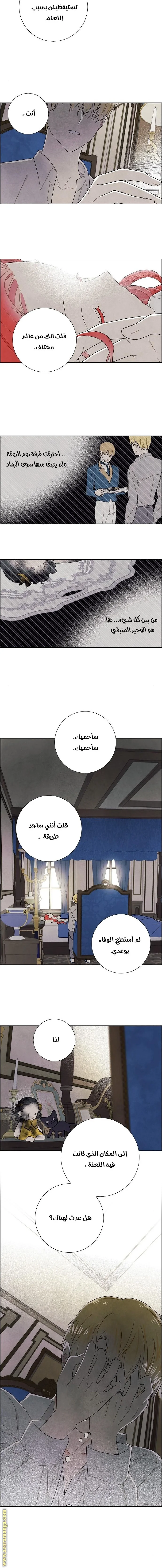 Read I stole the male lead’s first night AR Manga Online