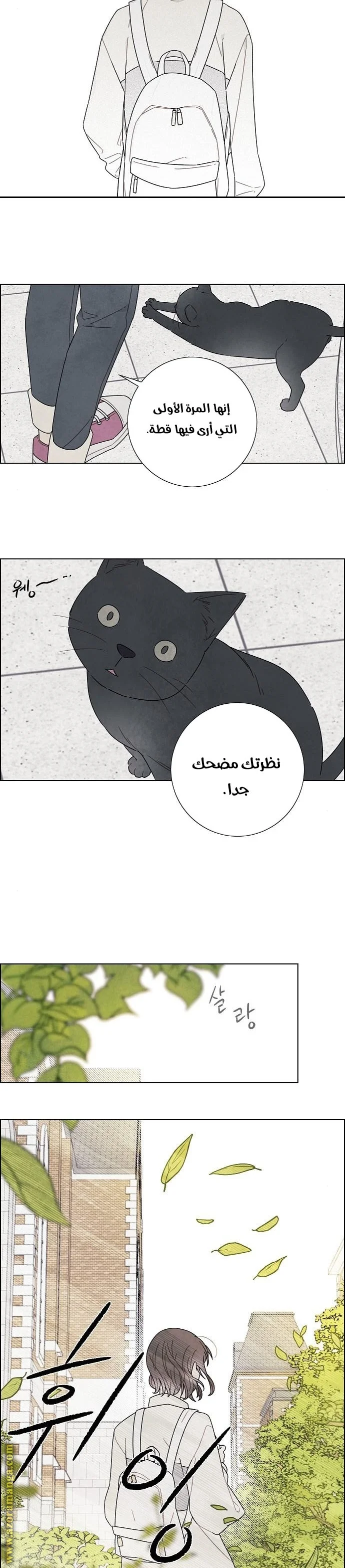 Read I stole the male lead’s first night AR Manga Online