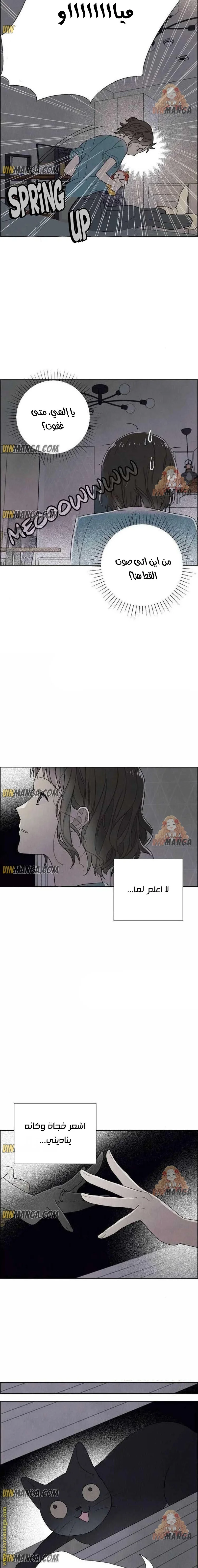 Read I stole the male lead’s first night AR Manga Online