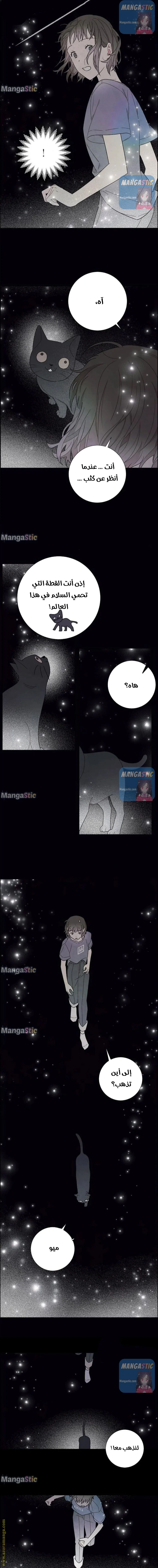 Read I stole the male lead’s first night AR Manga Online