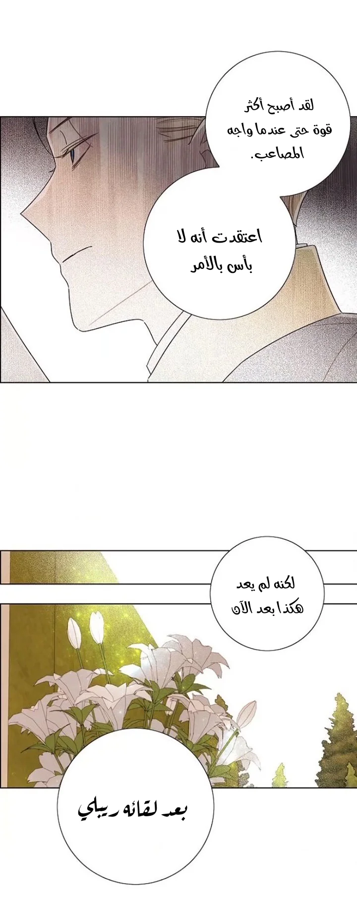 Read I stole the male lead’s first night AR Manga Online
