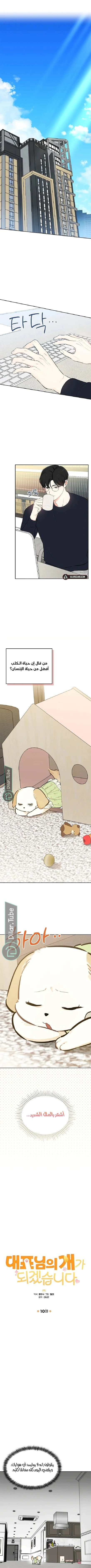 Read I would become your dog boss AR Manga Online
