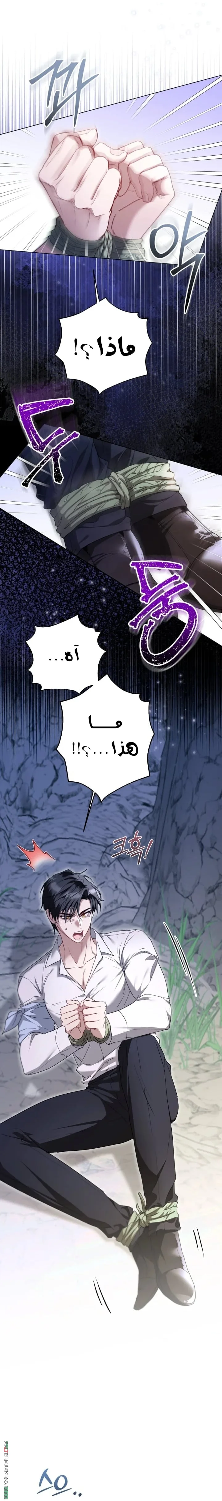 Read I’m Stuck on a Remote Island With the Male Leads AR Manga Online