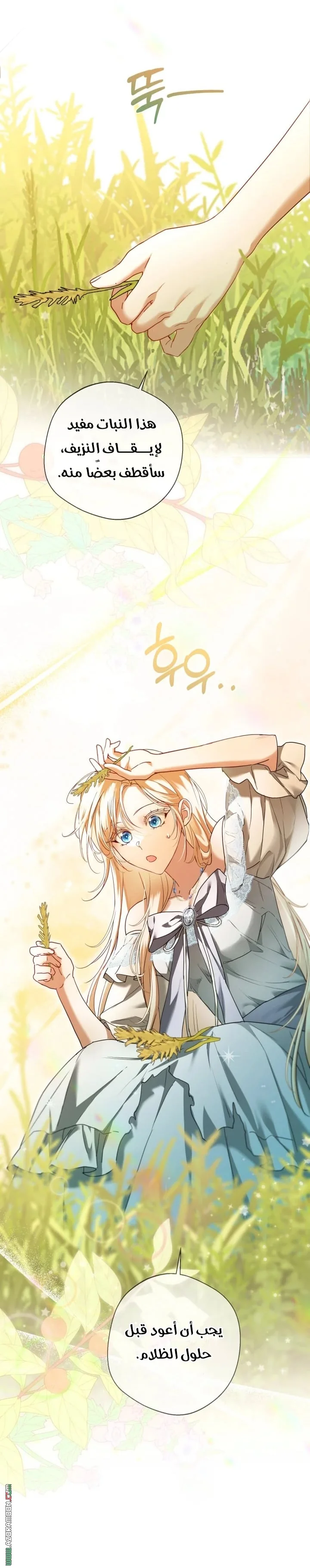 Read I’m Stuck on a Remote Island With the Male Leads AR Manga Online