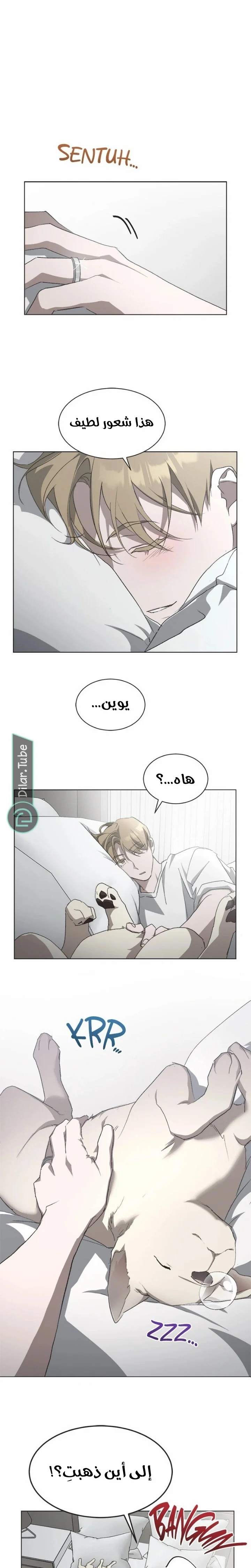Read Imperfect Cinderella Story AR Manga Online
