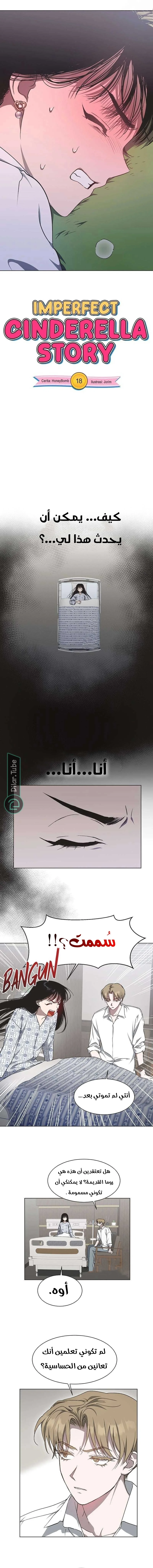 Read Imperfect Cinderella Story AR Manga Online