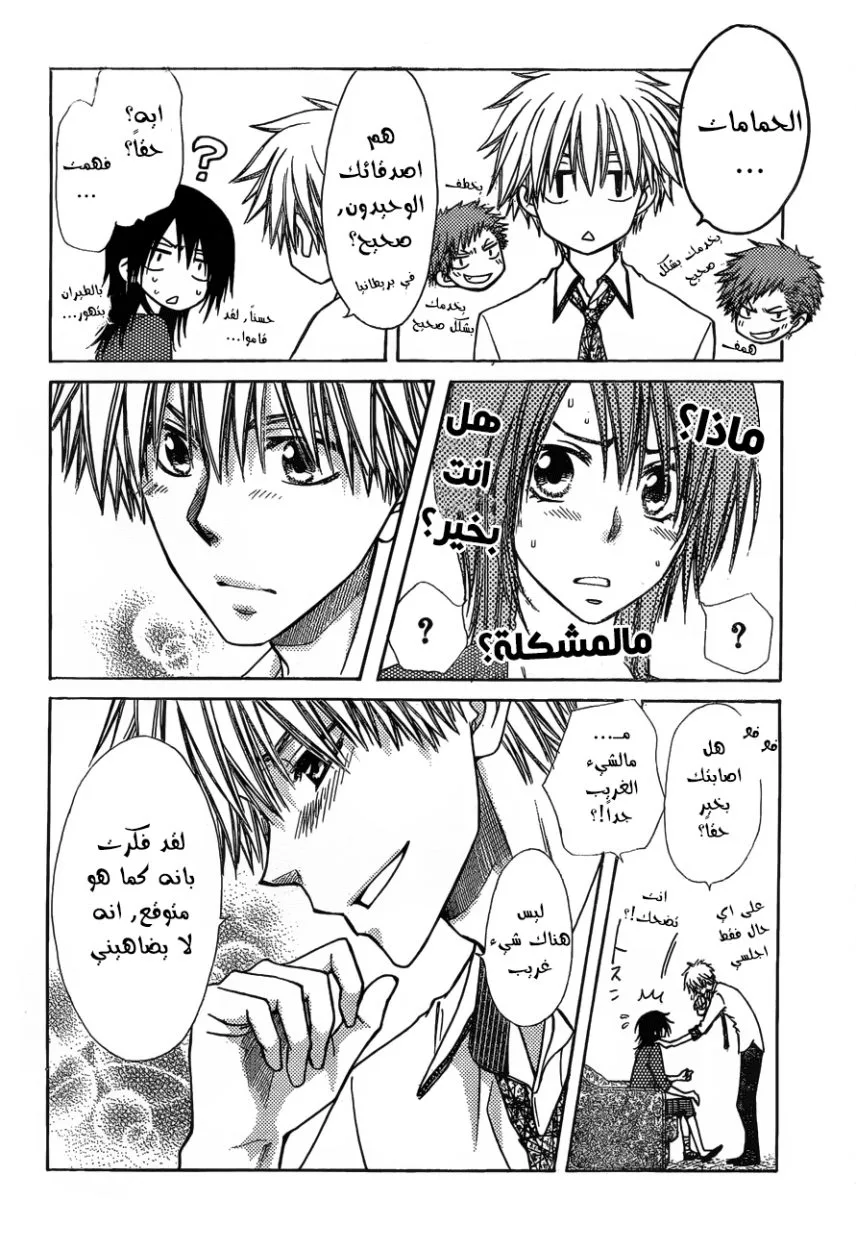 Read Kaichou wa Maid-sama! AR Manga Online