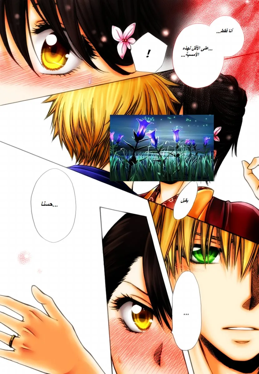 Read Kaichou wa Maid-sama! AR Manga Online