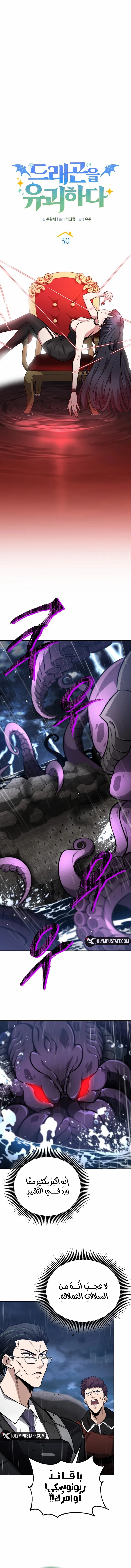 Read Kidnapped Dragons AR Manga Online