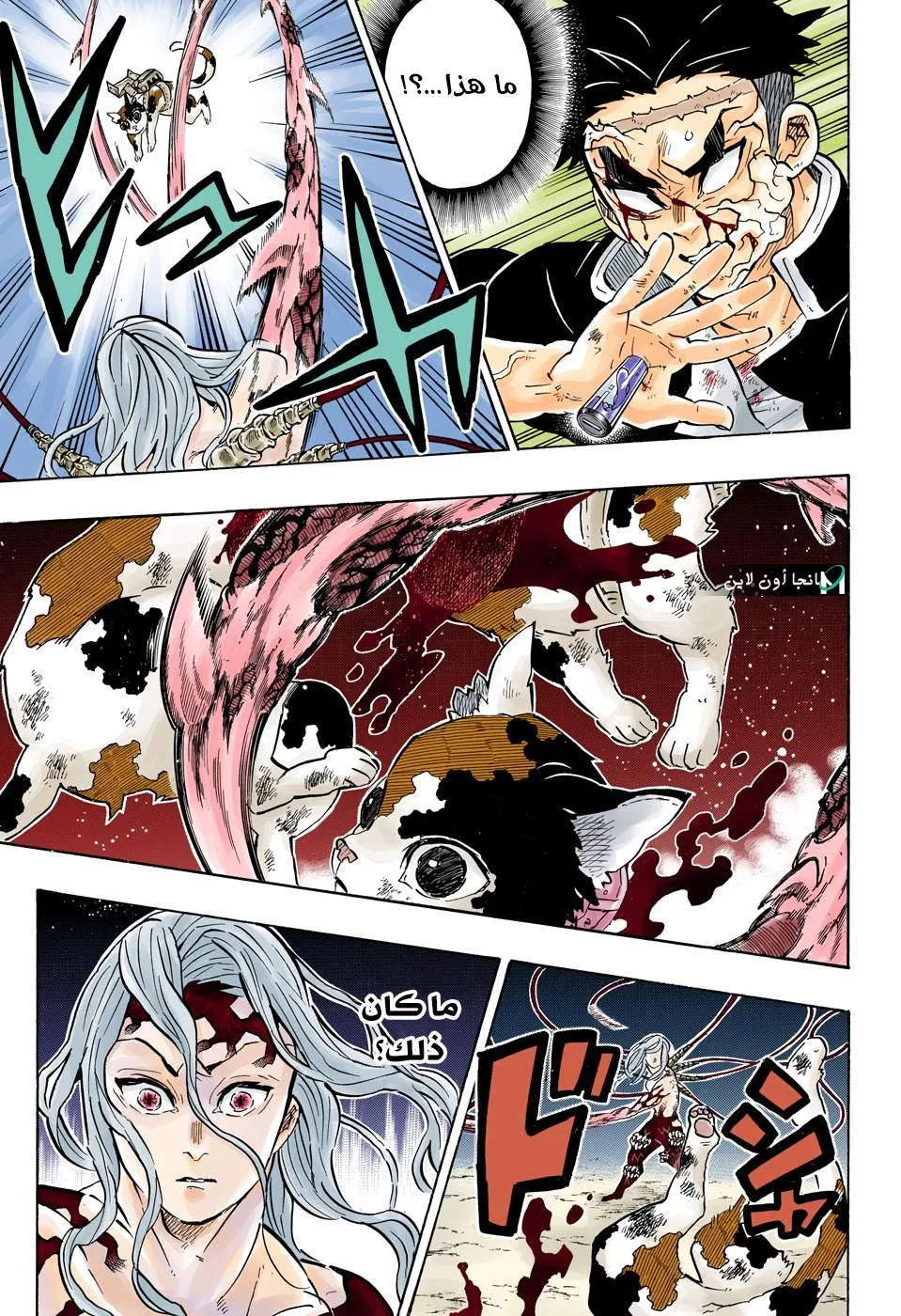 Read Kimetsu no Yaiba AR Manga Online