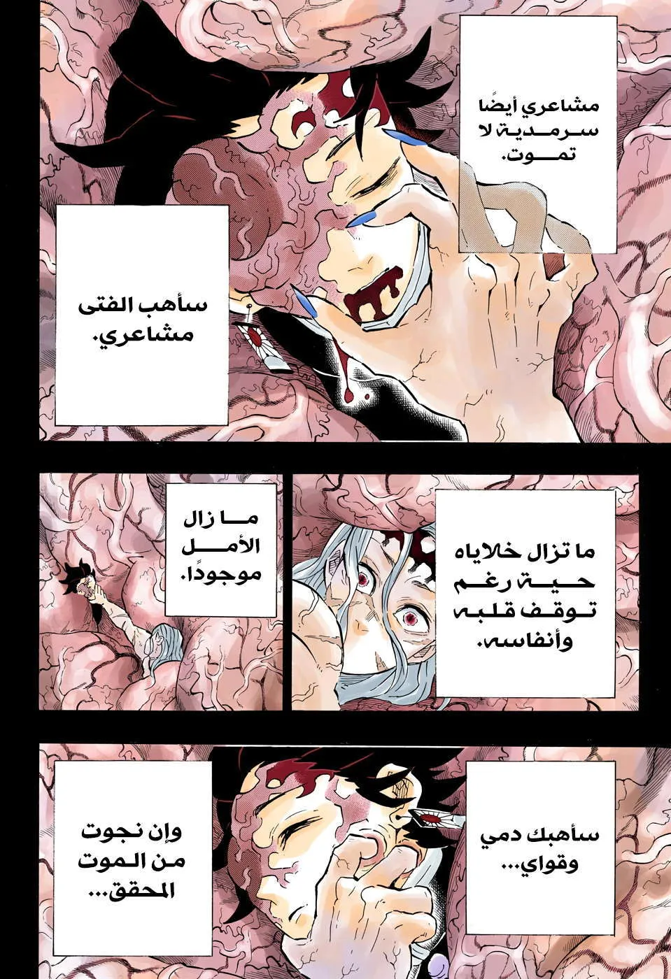 Read Kimetsu no Yaiba AR Manga Online