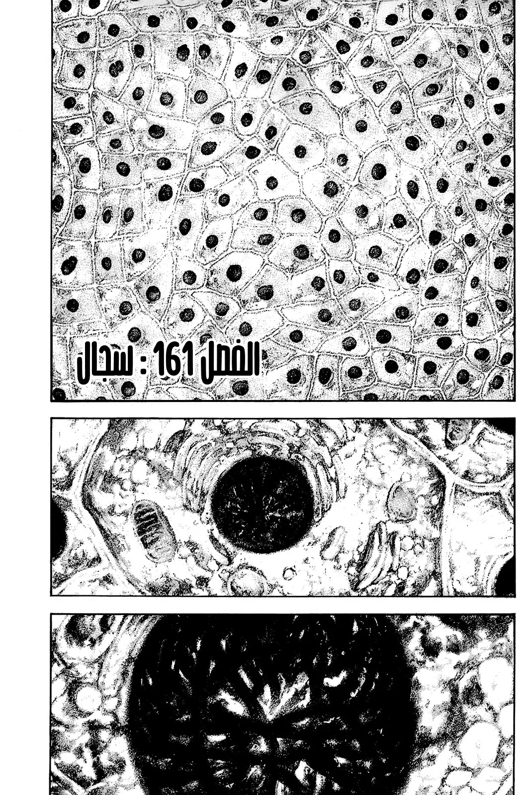Read Kokou no Hito AR Manga Online