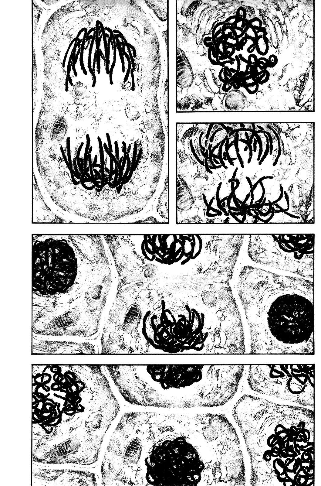 Read Kokou no Hito AR Manga Online