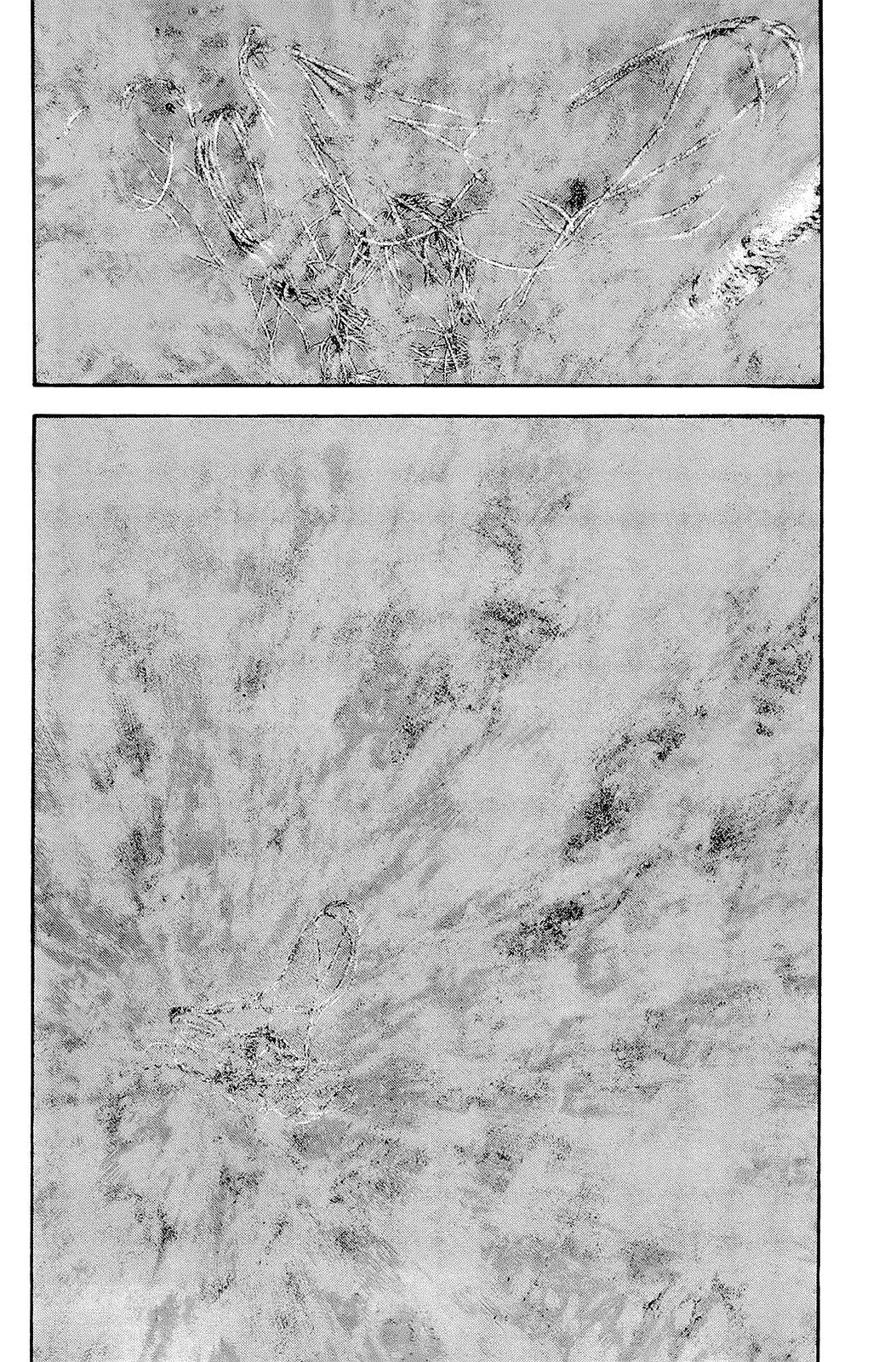 Read Kokou no Hito AR Manga Online