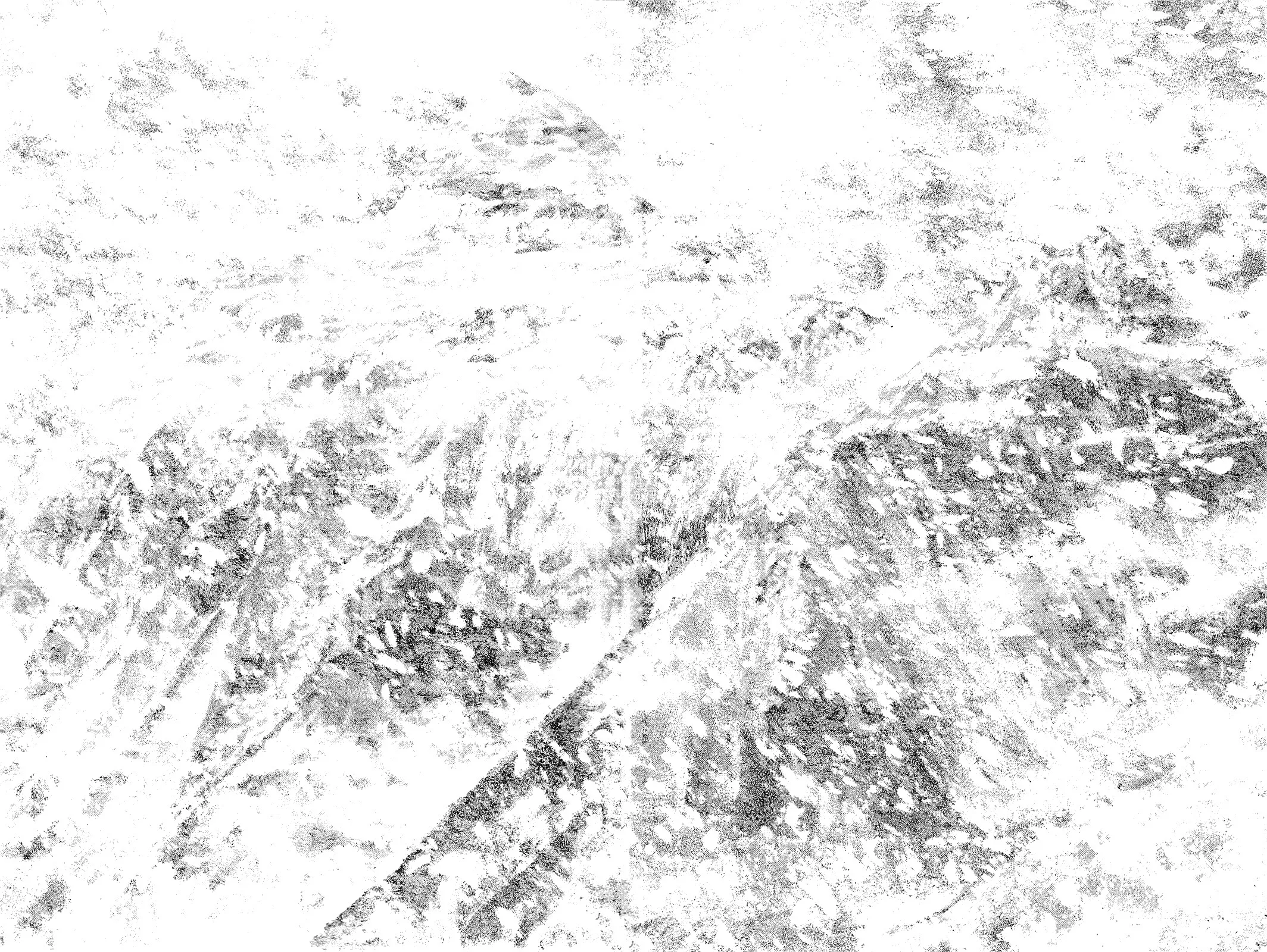 Read Kokou no Hito AR Manga Online