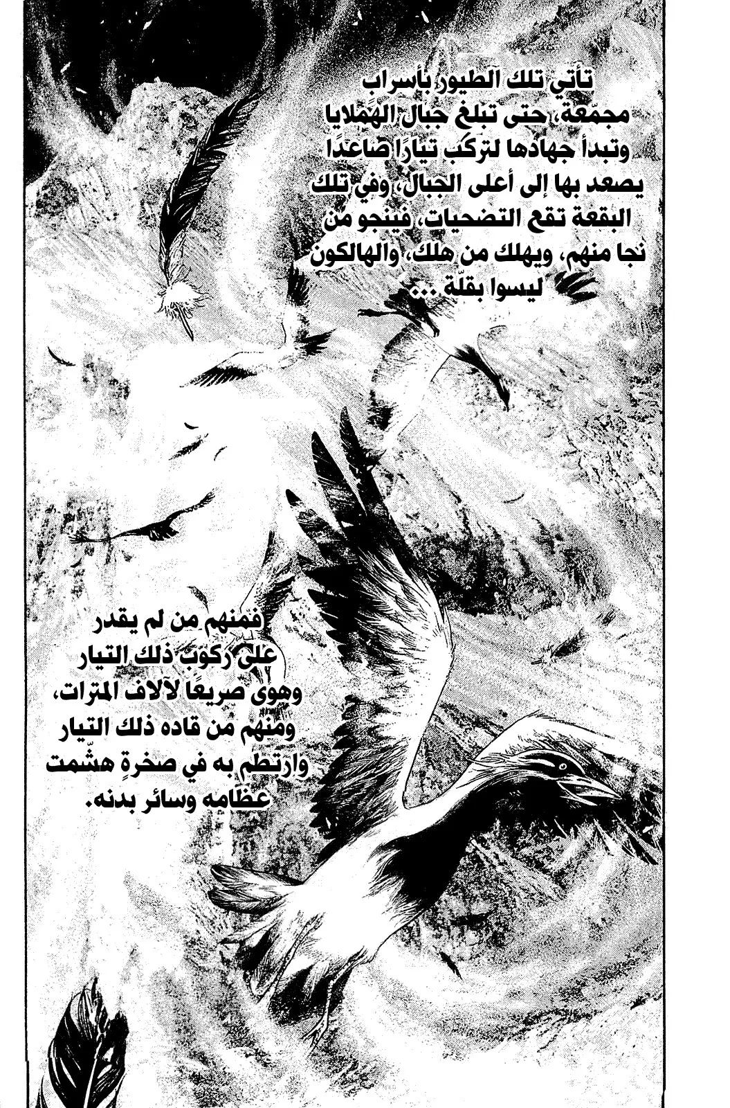Read Kokou no Hito AR Manga Online