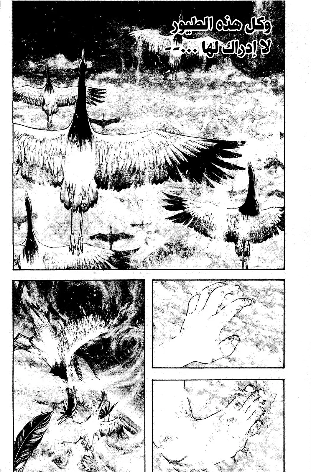 Read Kokou no Hito AR Manga Online
