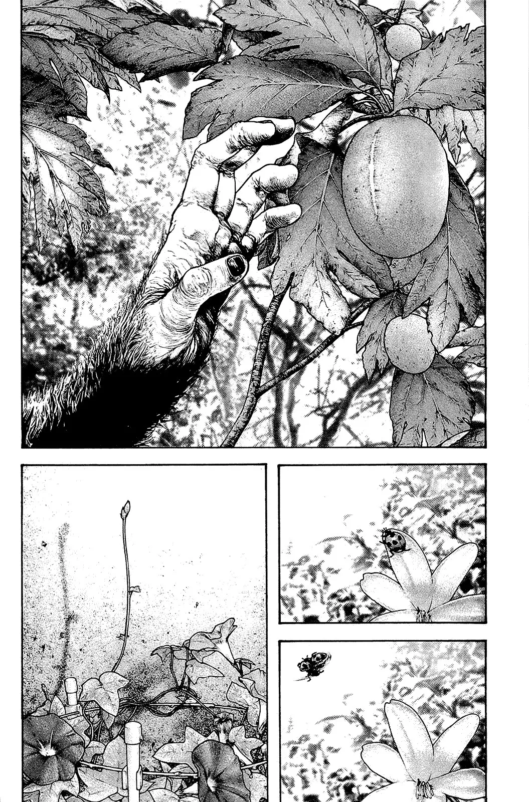 Read Kokou no Hito AR Manga Online