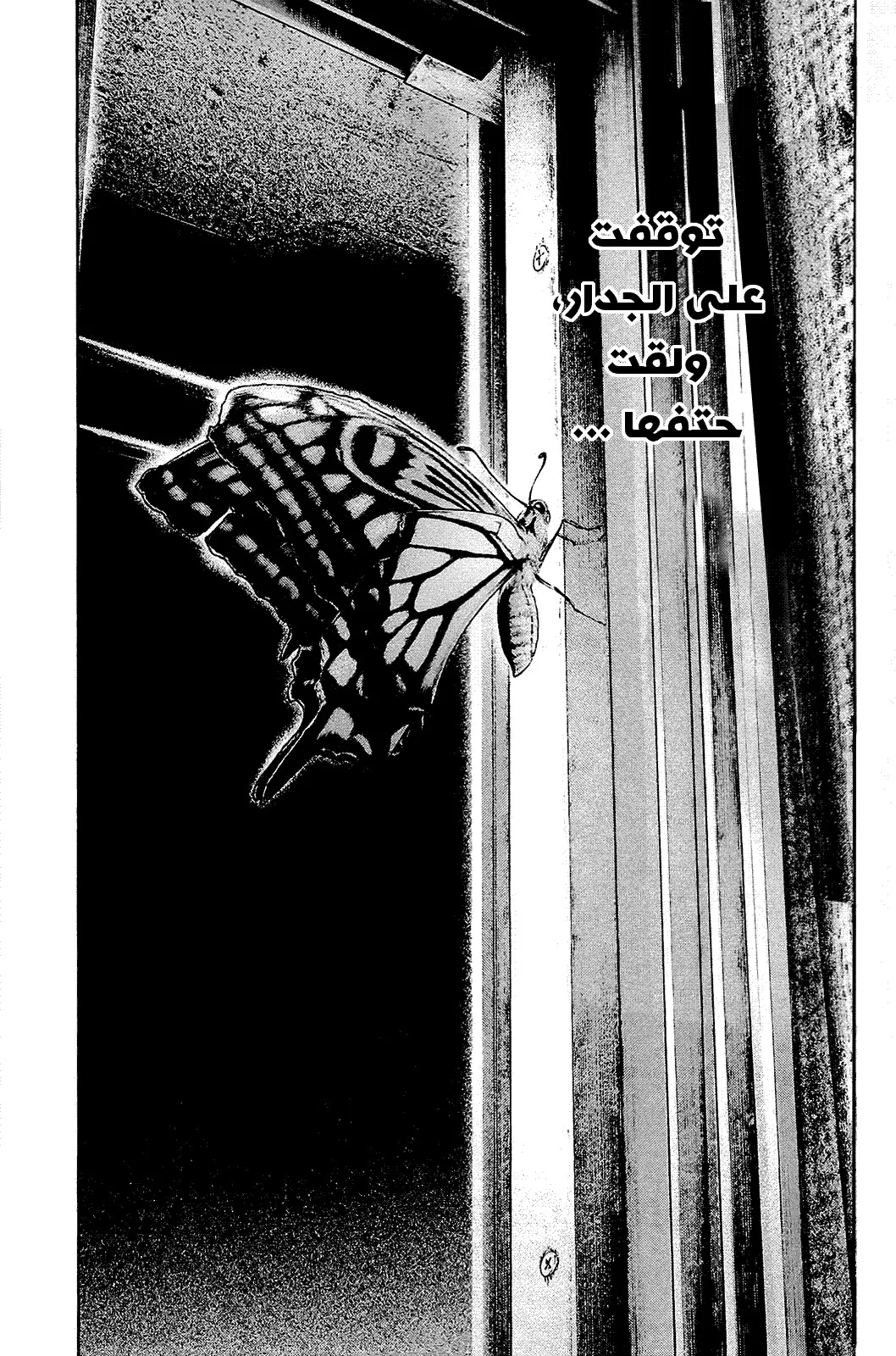 Read Kokou no Hito AR Manga Online