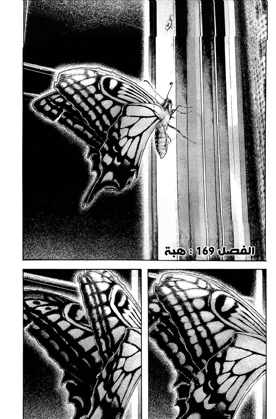 Read Kokou no Hito AR Manga Online