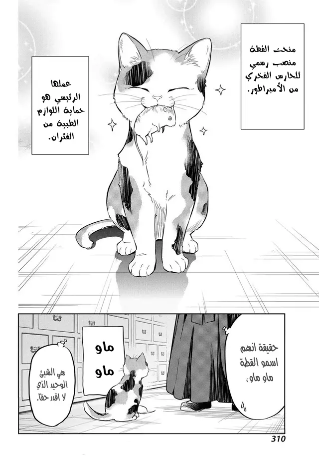 Read Kusuriya no hitorigoto AR Manga Online