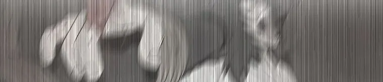 Read Legend Of The Northern Blade AR Manga Online