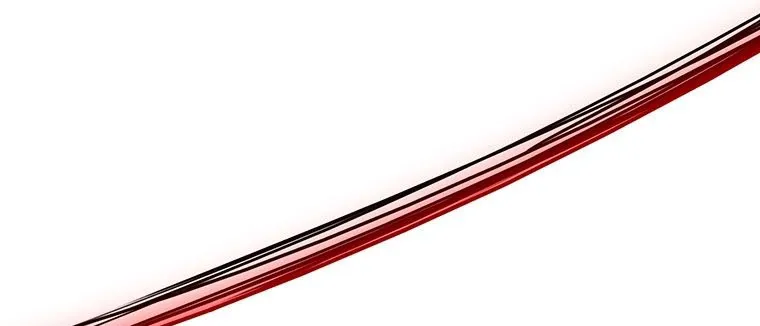 Read Legend Of The Northern Blade AR Manga Online