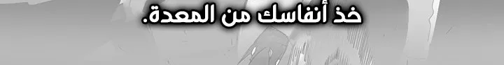 Read Legend Of The Northern Blade AR Manga Online
