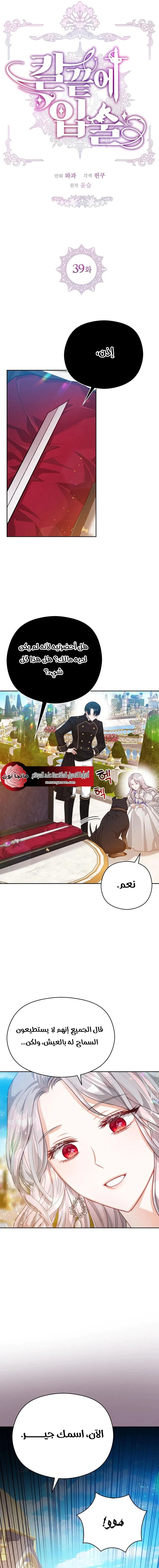 Read Lips on the Tip of a Knife AR Manga Online