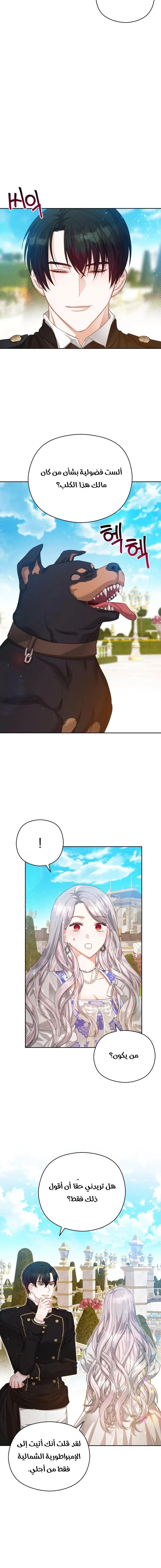 Read Lips on the Tip of a Knife AR Manga Online