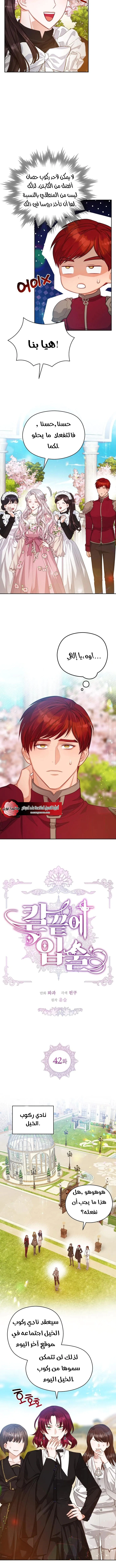 Read Lips on the Tip of a Knife AR Manga Online