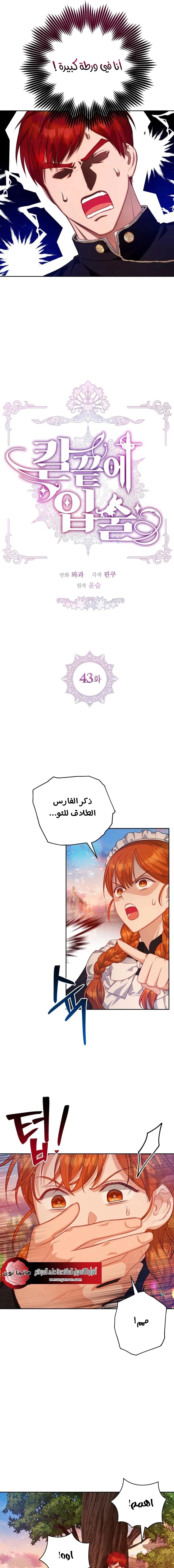 Read Lips on the Tip of a Knife AR Manga Online